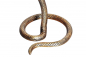 Preview: Beistelltisch Wildlife Snake