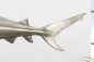 Preview: Skulptur Hai