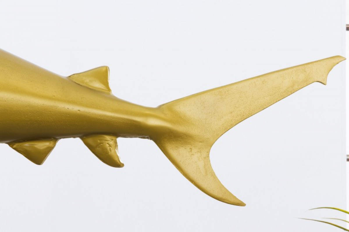 Skulptur Hai